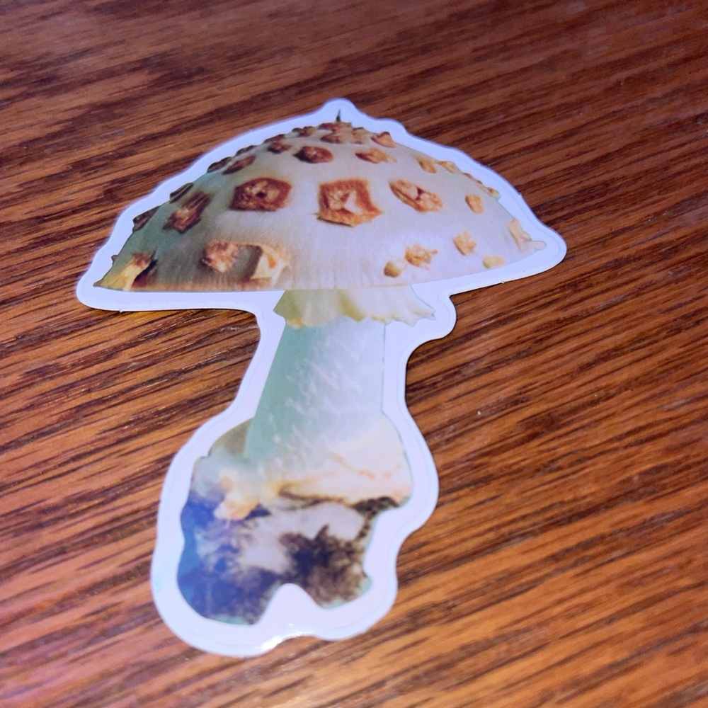 Colorful 13 Mushroom Sticker Set - Picture 13 of 14